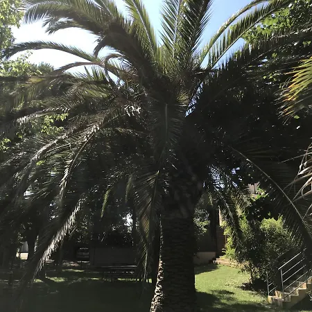 Les Caraibes Aparthotel Serignan